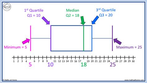 How to Interpret Box Plots 